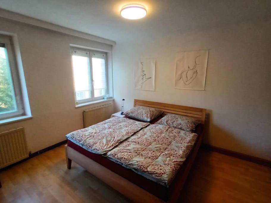 Modernes Apartment In Wien Экстерьер фото